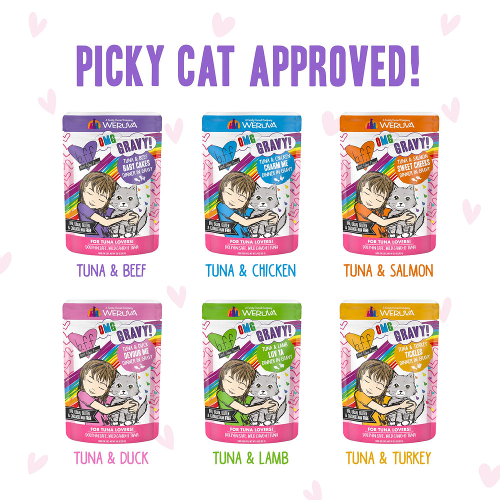 Weruva B.F.F. OMG Rainbow A Gogo Tickles lamb pouch—soft pieces in flavorful gravy.