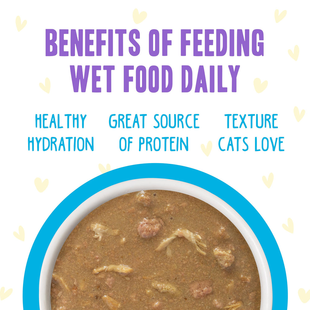 Weruva B.F.F. OMG ready-to-serve cat bowl scene emphasizing moisture and flavor.