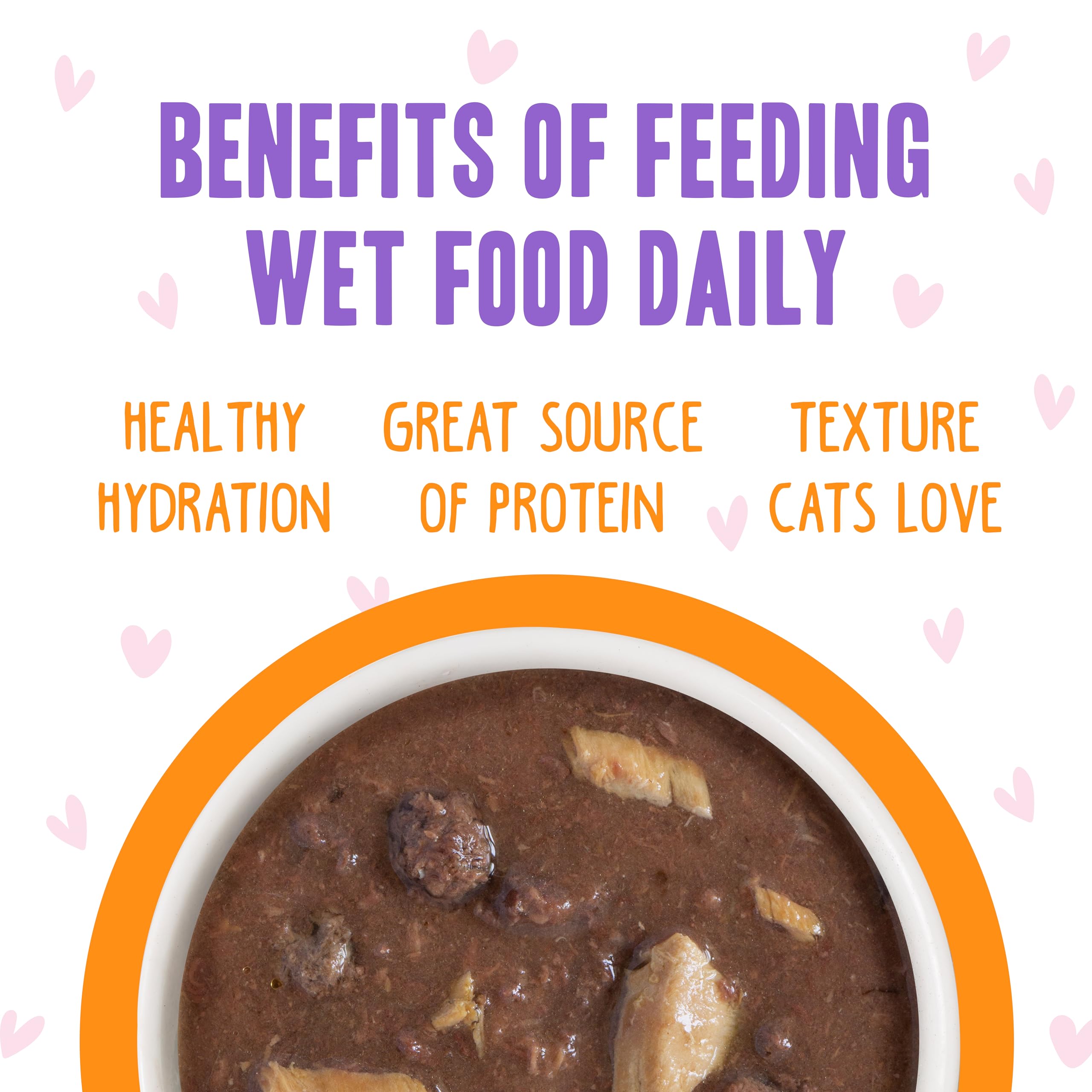 Cat enjoying Weruva B.F.F. OMG served in a bowl at mealtime.