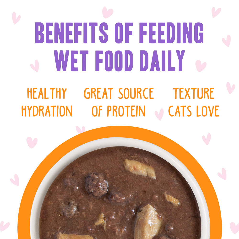 Cat enjoying Weruva B.F.F. OMG served in a bowl at mealtime.