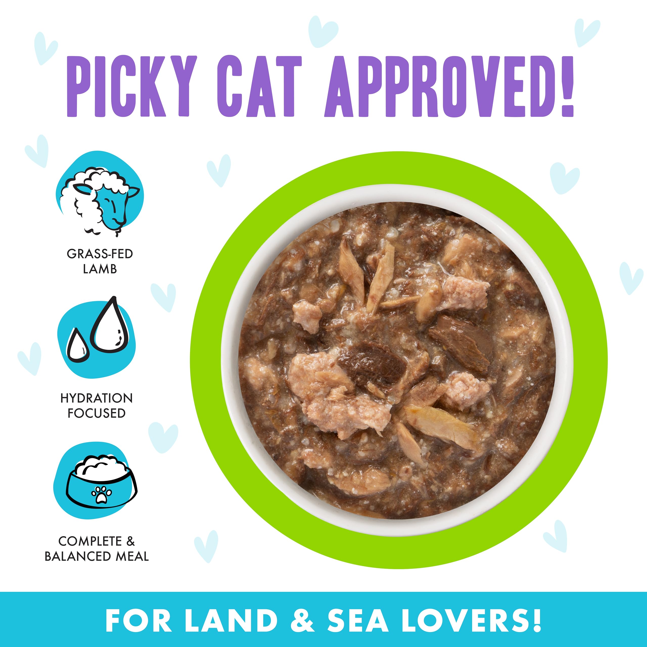 Tender meat pieces in gravy from Weruva B.F.F. OMG Shazaam for cat craving satisfaction