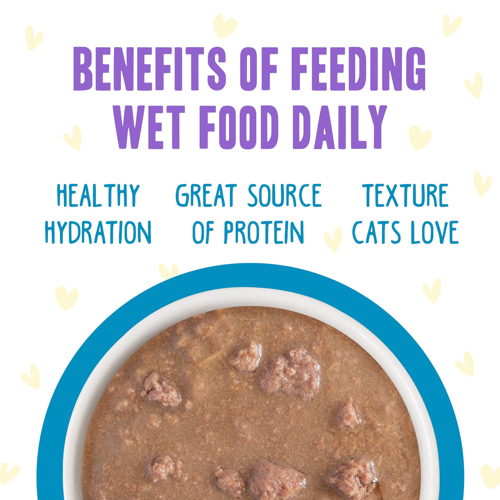 Weruva B.F.F. OMG tender chicken chunks in gravy for satisfying meals.