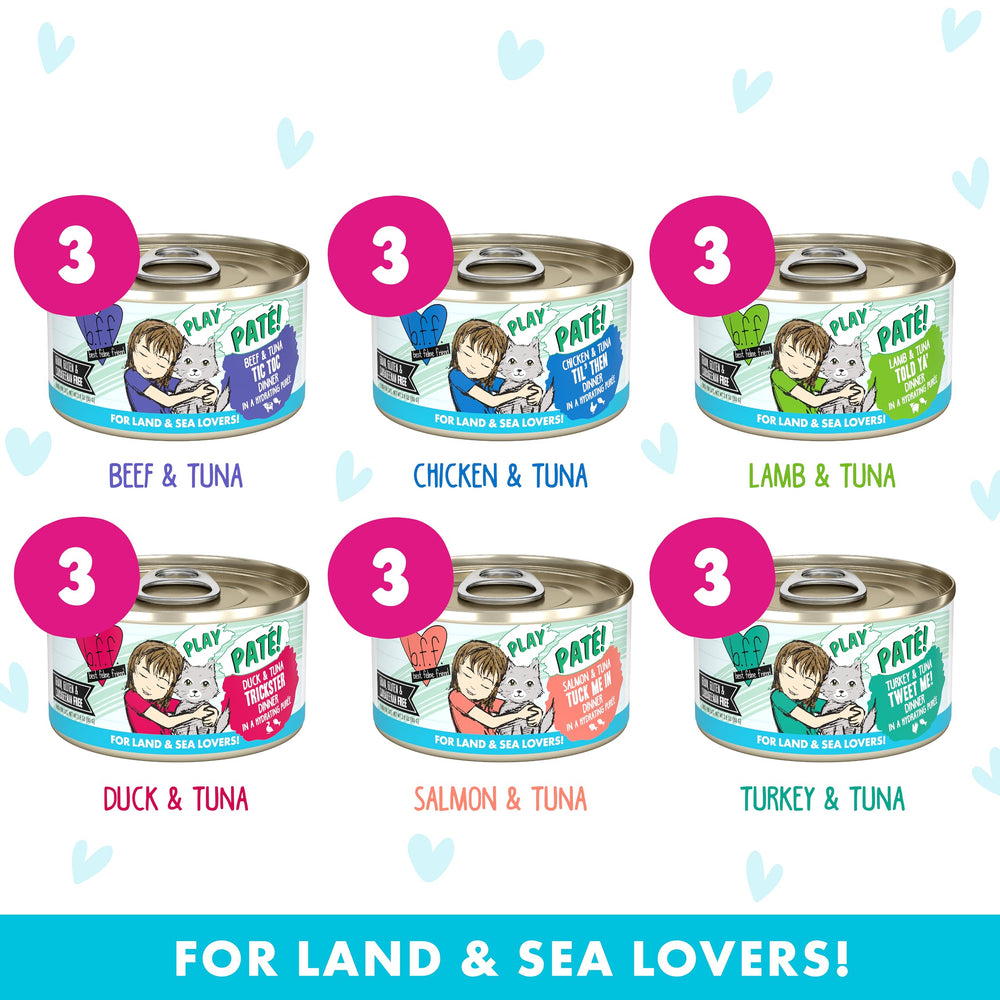 Beef-Tuna Tic Toc pate from Weruva B.F.F. Play delivering land-and-sea flavor
