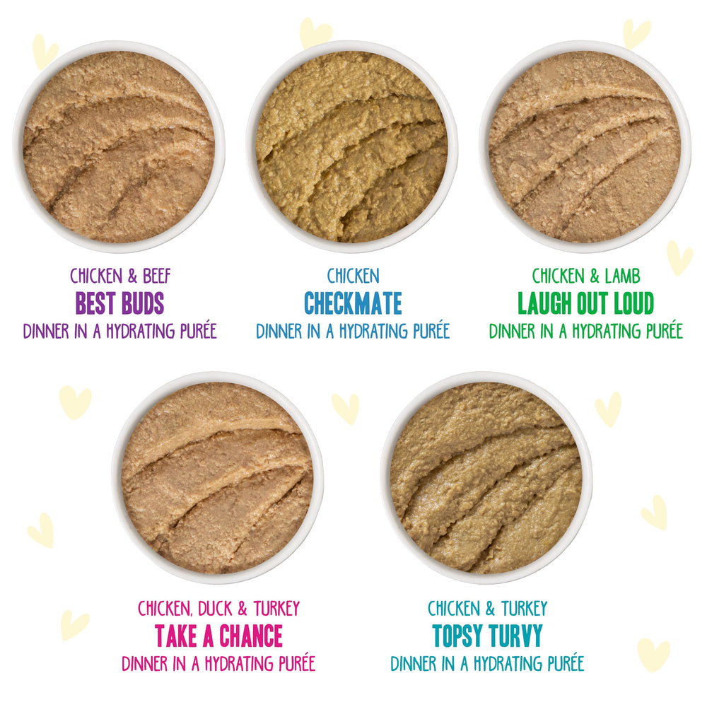 Weruva B.F.F. Play Chicken Checkmate paté image suggests grain-free comfort.