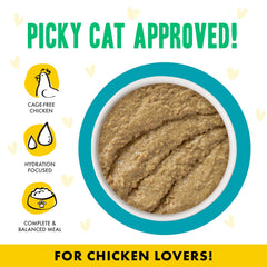 Weruva B.F.F. Play chicken-turkey pate puree close-up hydrating texture