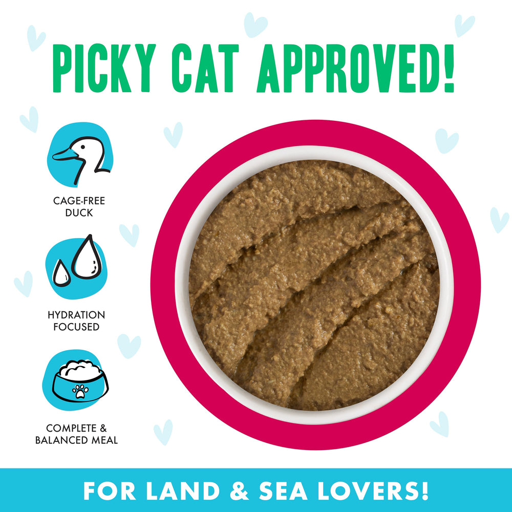 Front label on Weruva B.F.F. Play can highlights grain-free, carrageenan-free