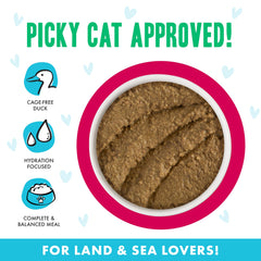 Front label on Weruva B.F.F. Play can highlights grain-free, carrageenan-free