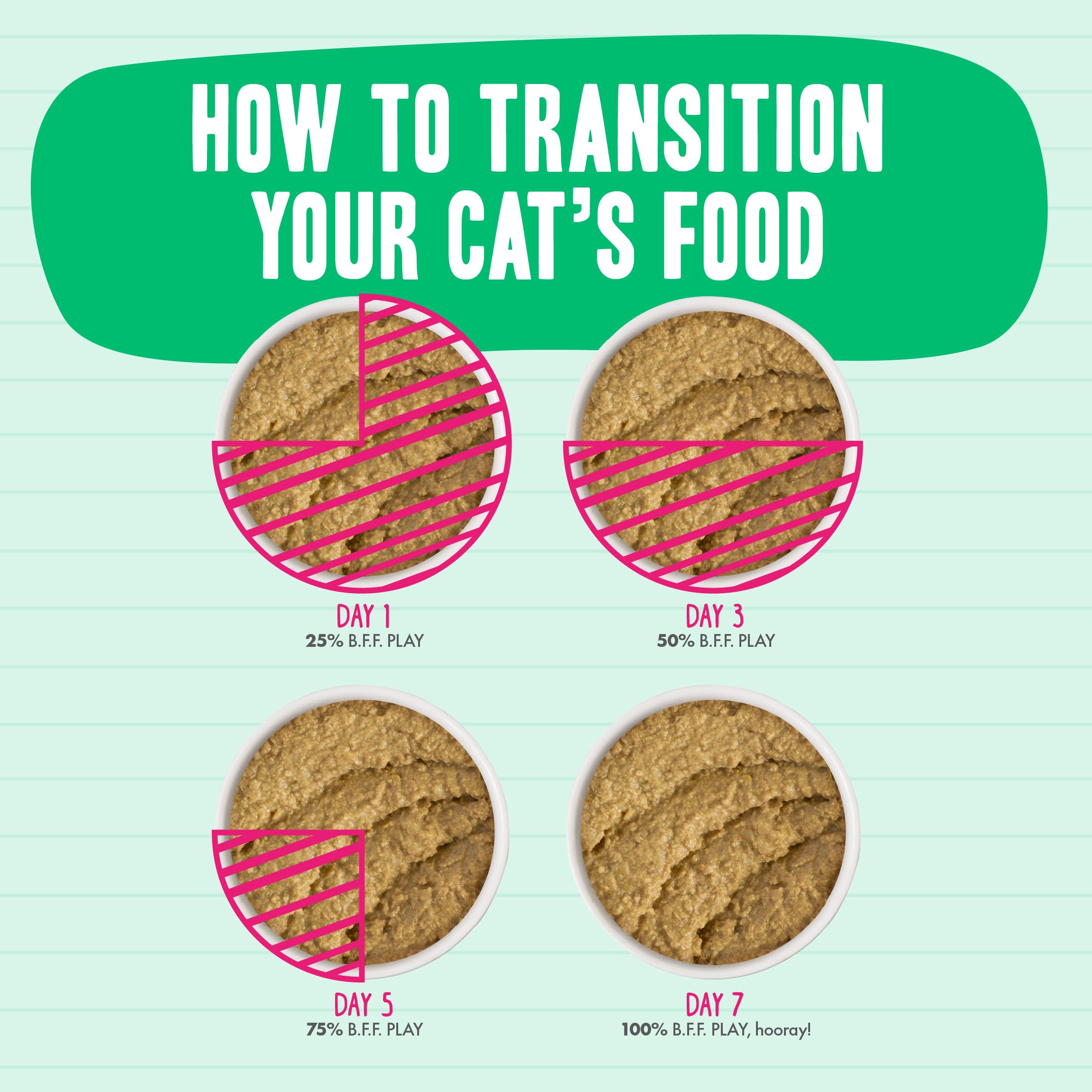 Serving idea: Weruva B.F.F. Play paté in a cat bowl