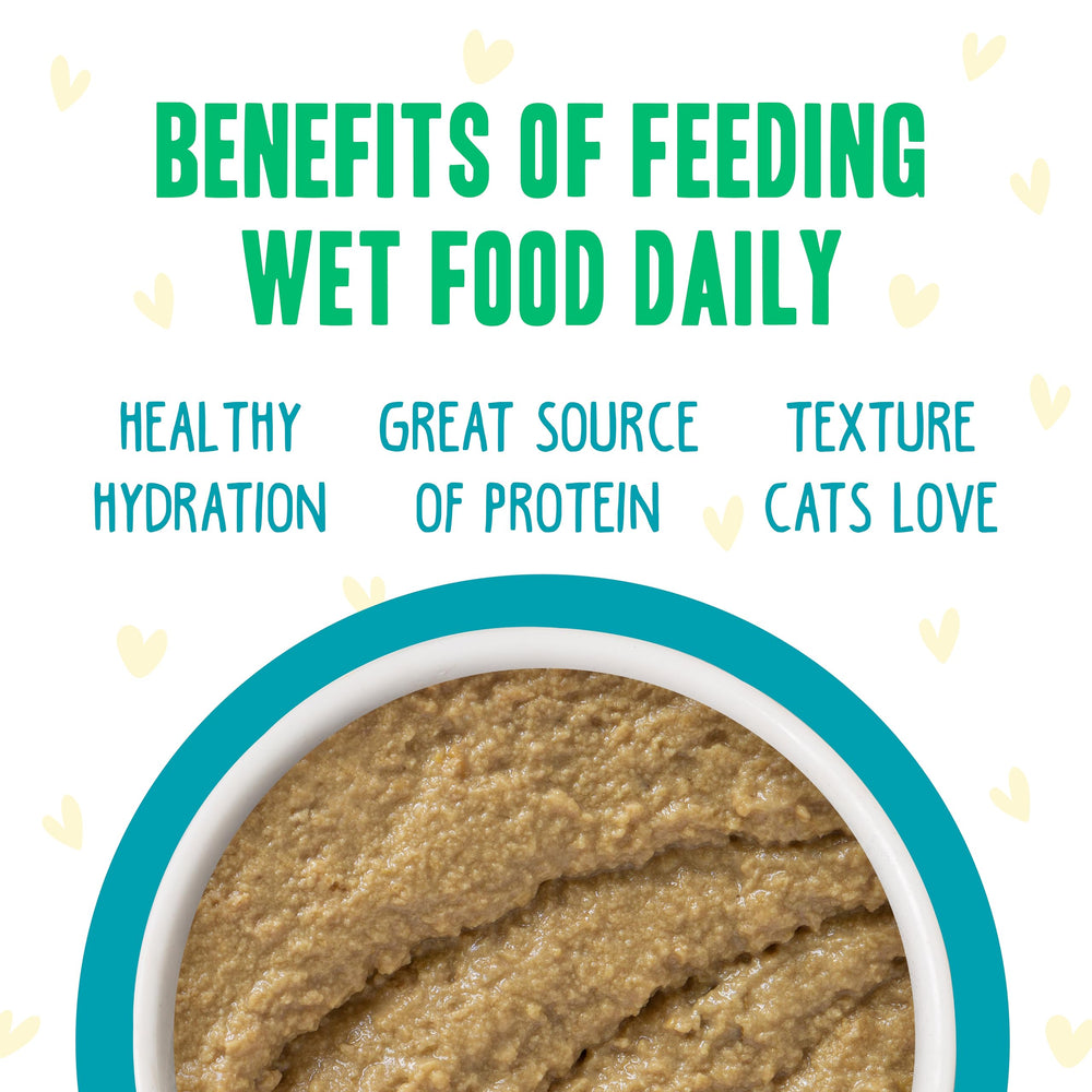 Weruva B.F.F. Play grain-free paté gluten-free and carrageenan-free