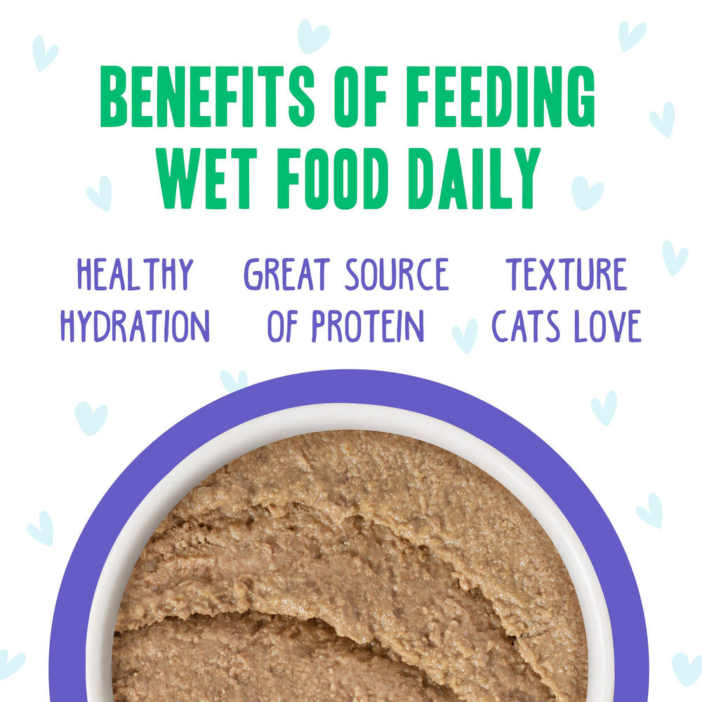 Weruva B.F.F. Play grain-free label, signaling clean ingredient standards.