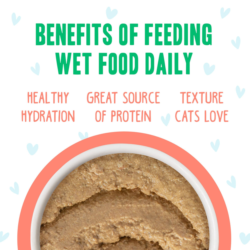High-moisture wet cat food presentation from Weruva B.F.F. Play