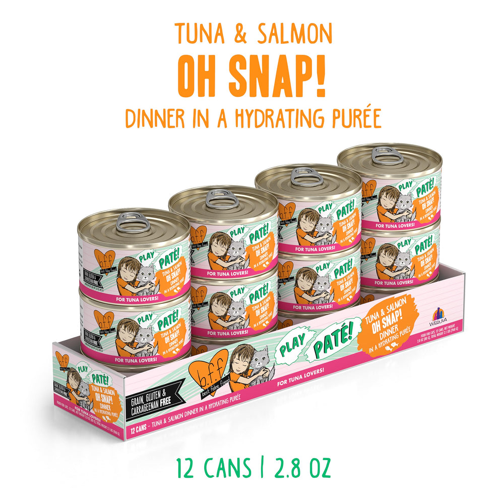 Closeup of Weruva B.F.F. Play tuna-salmon texture in creamy paté form.