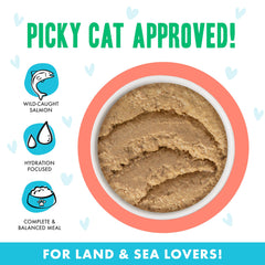 Cat enjoying Weruva B.F.F. Play paté served in a dish