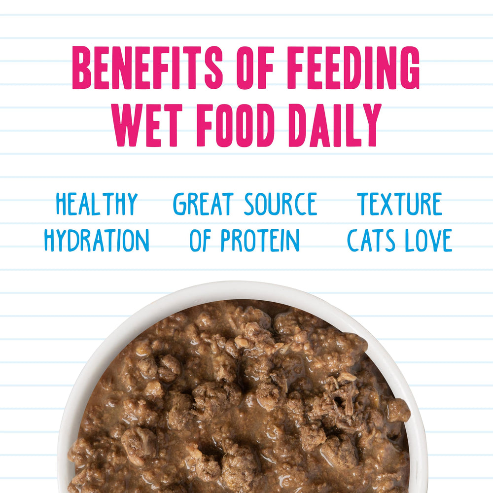 Weruva BFF Tuna Too Cool flavor with varied texture.