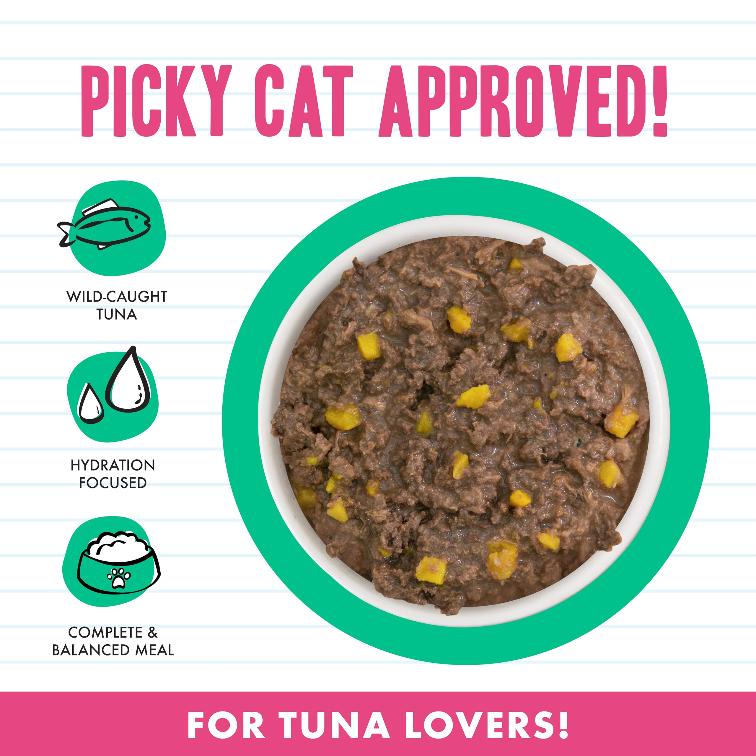Weruva BFF tuna Valentine gravy close-up – minced tuna texture designed for palatability.