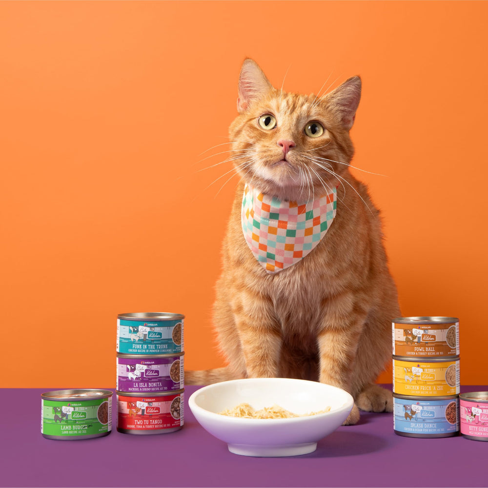 Cat enjoying a wholesome Weruva 6oz meal in kitchen.