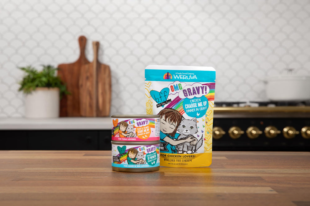 Cat enjoying gravy with Weruva meal during mealtime.
