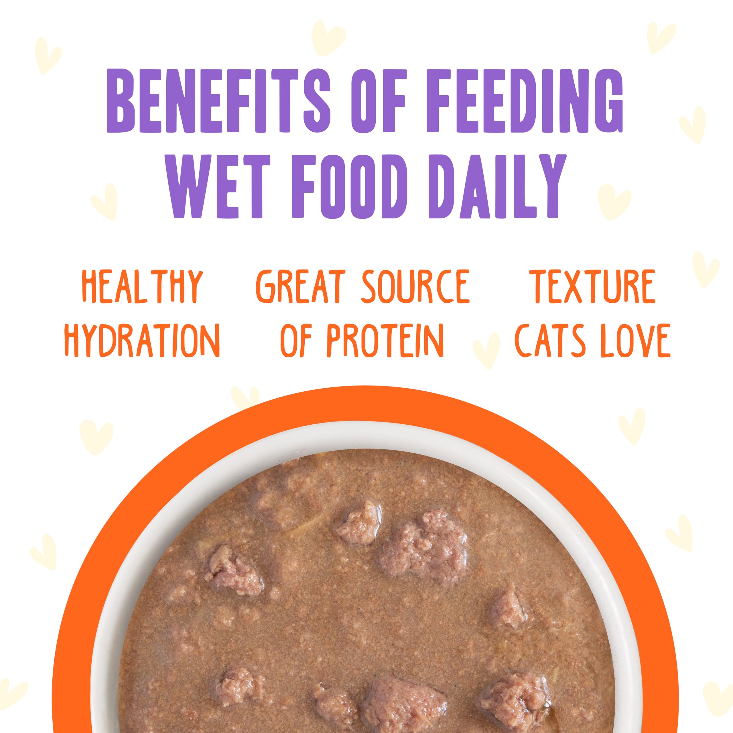 Weruva cat mealtime scene with B.F.F. Oh My Gravy! pouch.