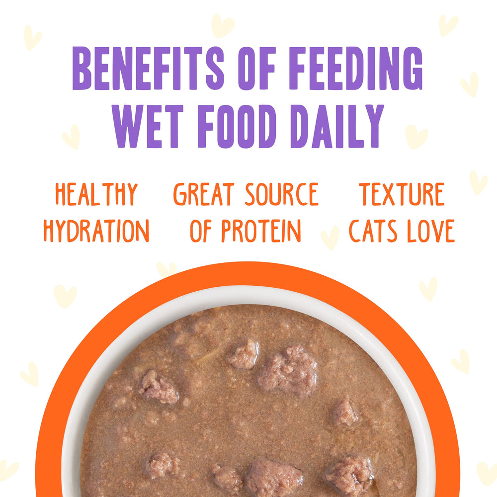 Weruva cat mealtime scene with B.F.F. Oh My Gravy! pouch.
