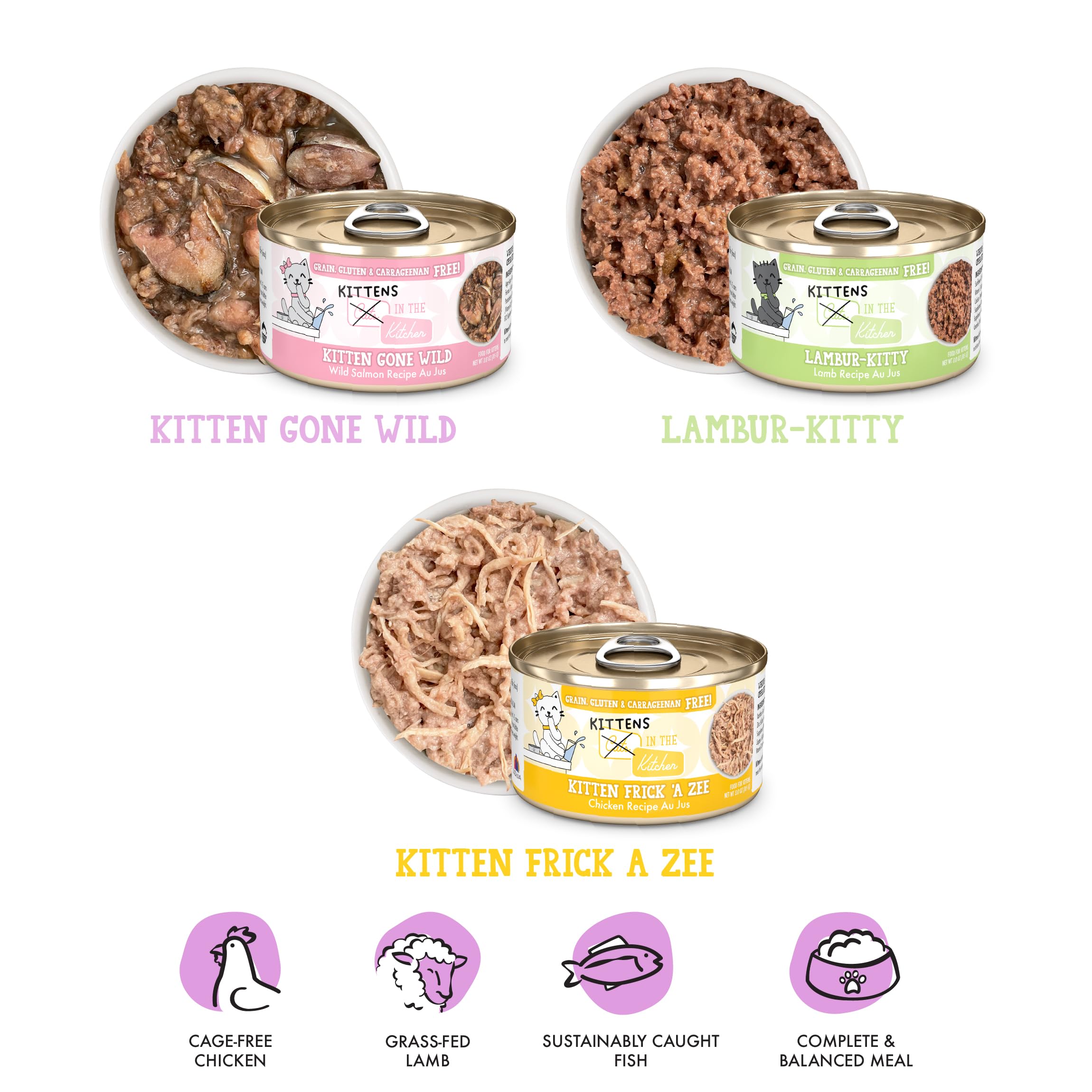 Kitten Gone Wild cans on display, a flavorful option for growing cats.