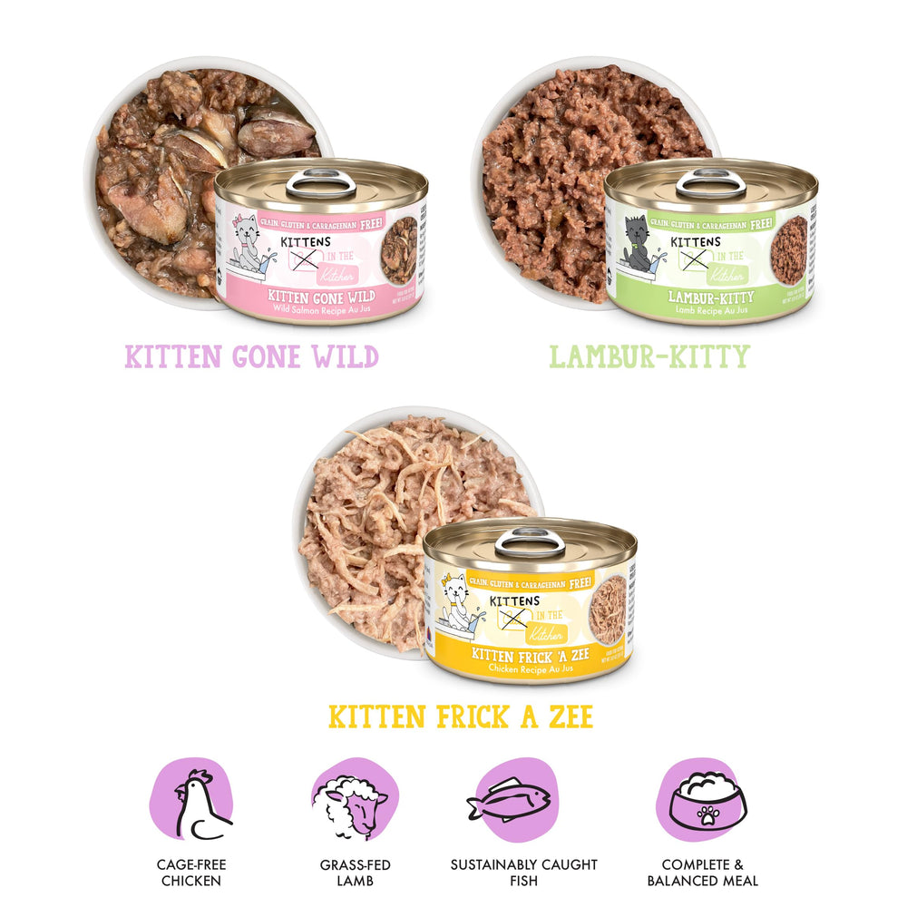 Kitten Gone Wild cans on display, a flavorful option for growing cats.