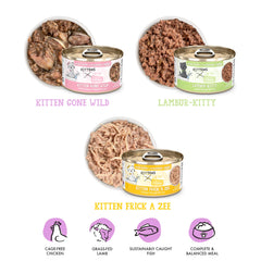 Kitten Gone Wild cans on display, a flavorful option for growing cats.