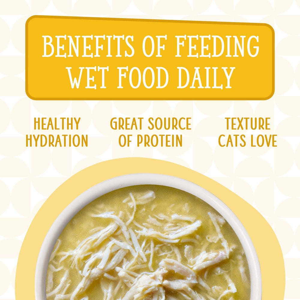 No artificial colors or preservatives in Weruva Cats in the Kitchen cat food.