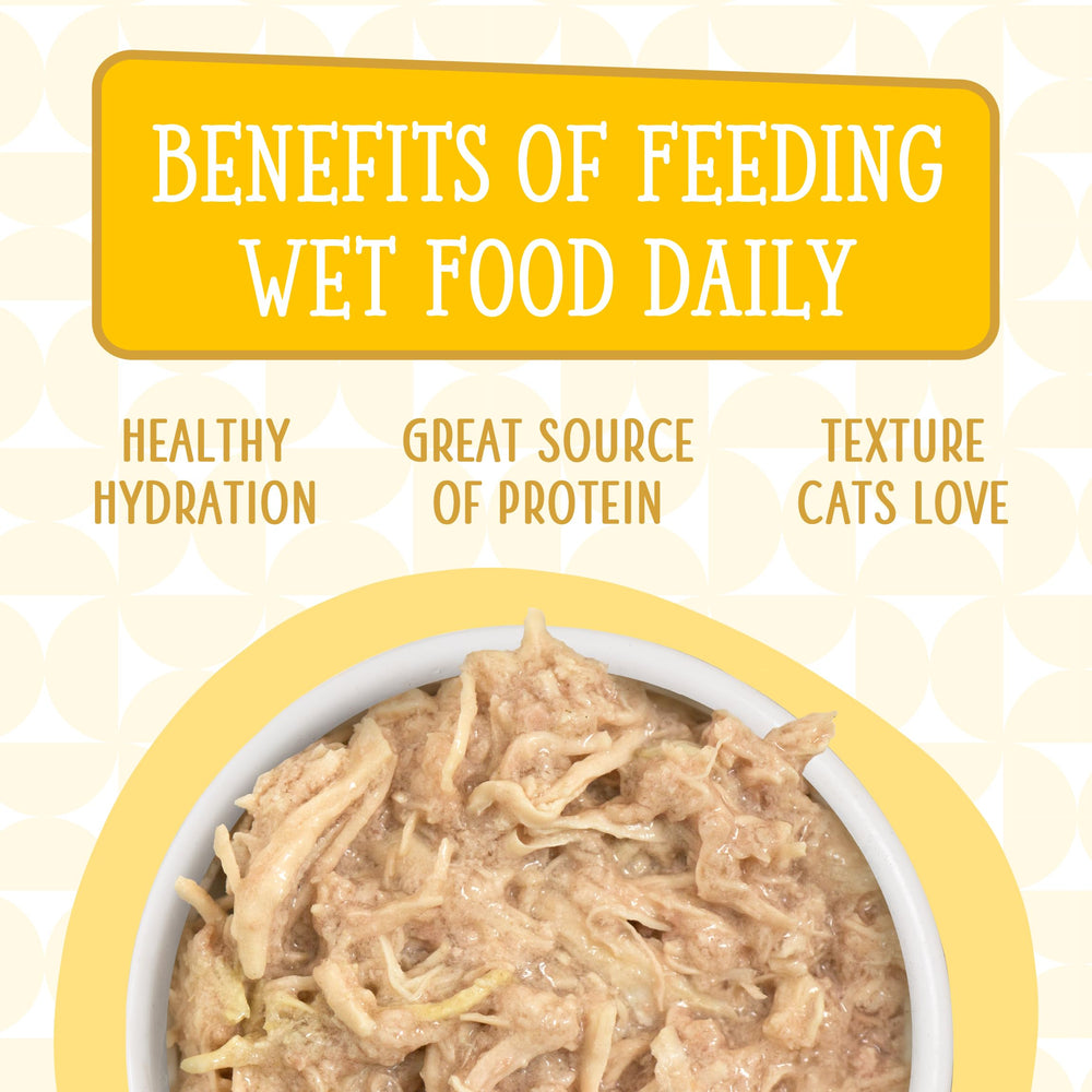 Serving Weruva Cats in the Kitchen in a bowl showcases moist texture and appeal.