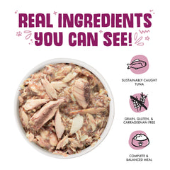 Weruva tilapia in gravy image illustrates grain-free formula with no corn, wheat, or soy