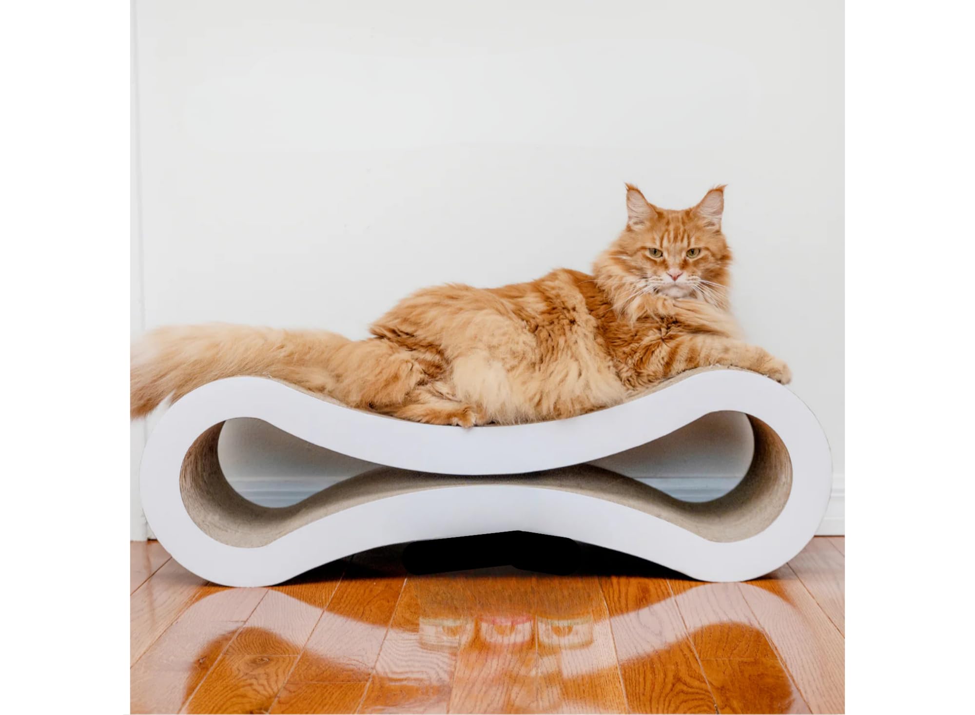 Weruva Classic Cat no artificial additives for clean ingredients.