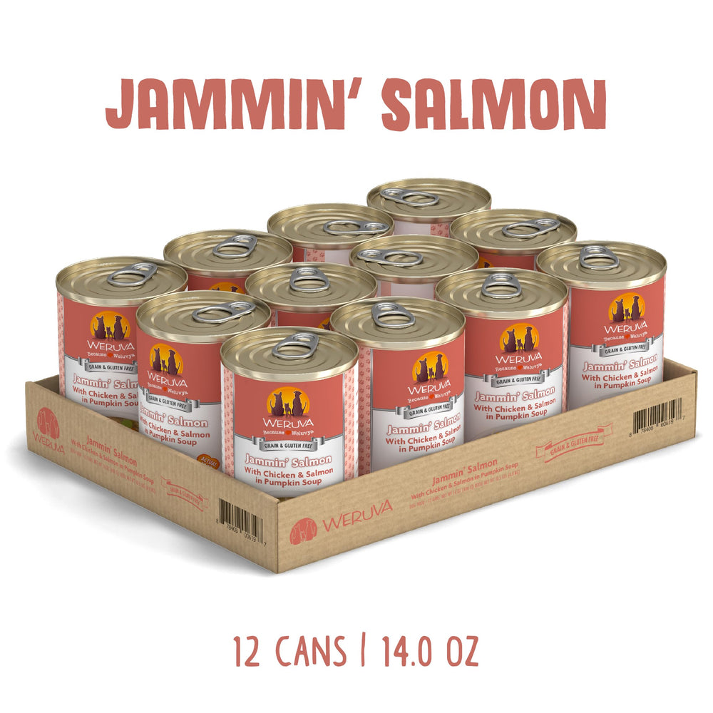 Weruva Jammin' Salmon 14oz can pack demonstrates convenient multi-pack for dog meals