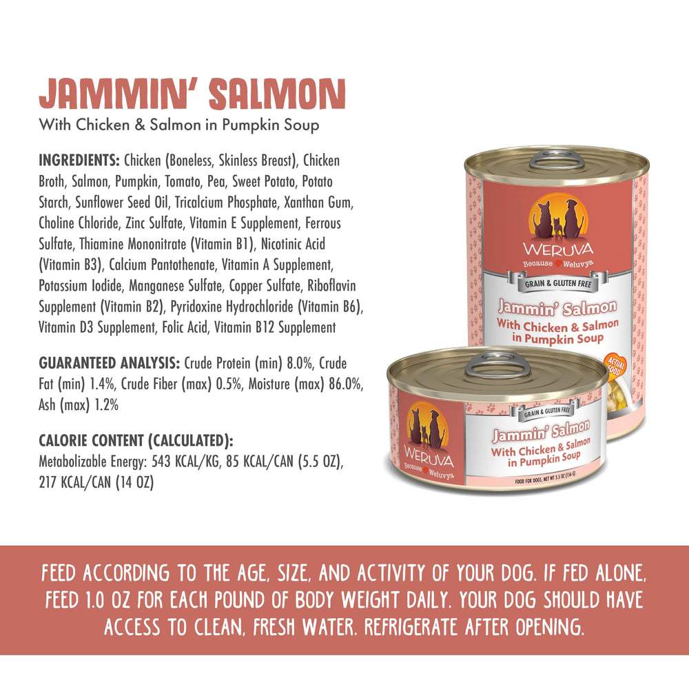 Weruva Jammin' Salmon pumpkin soup visual highlights smooth texture and aroma