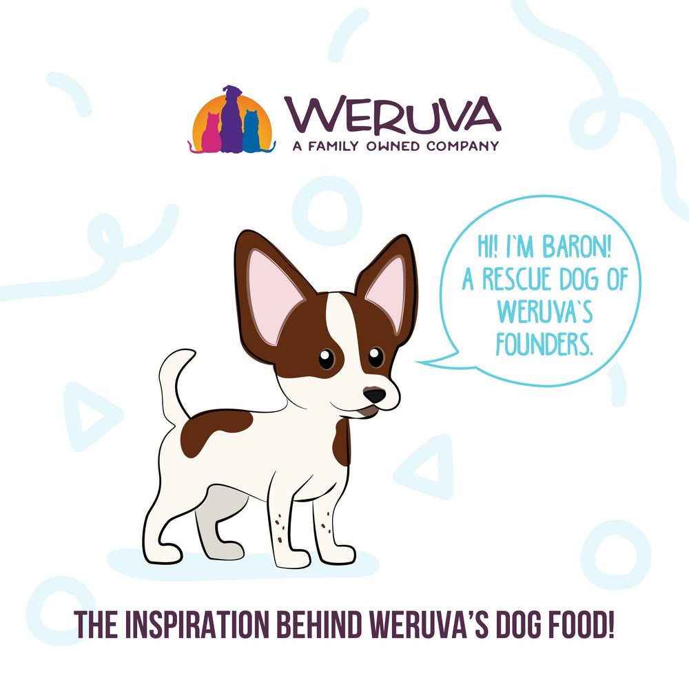 Weruva-dog-meal-served-in-bowl captures mealtime moment and hydration.