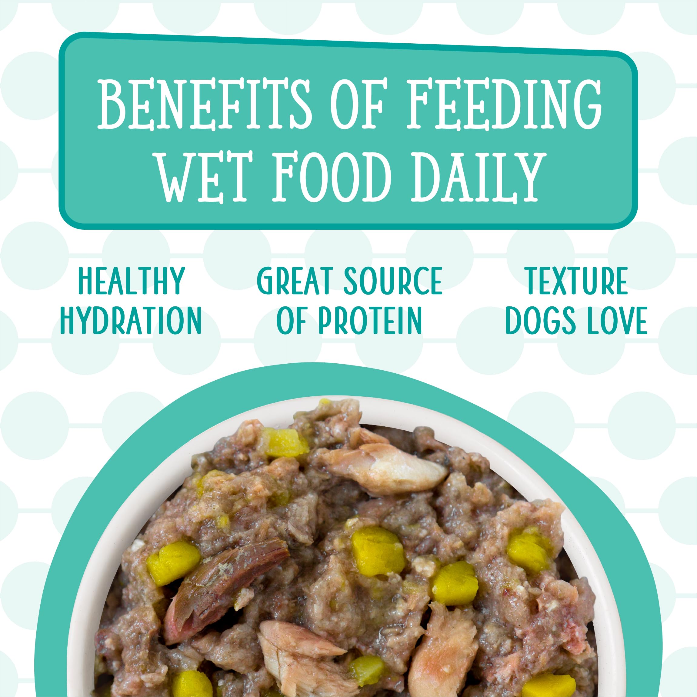 Weruva Dogs in the Kitchen pumpkin au jus serving with lamb enhances moisture.