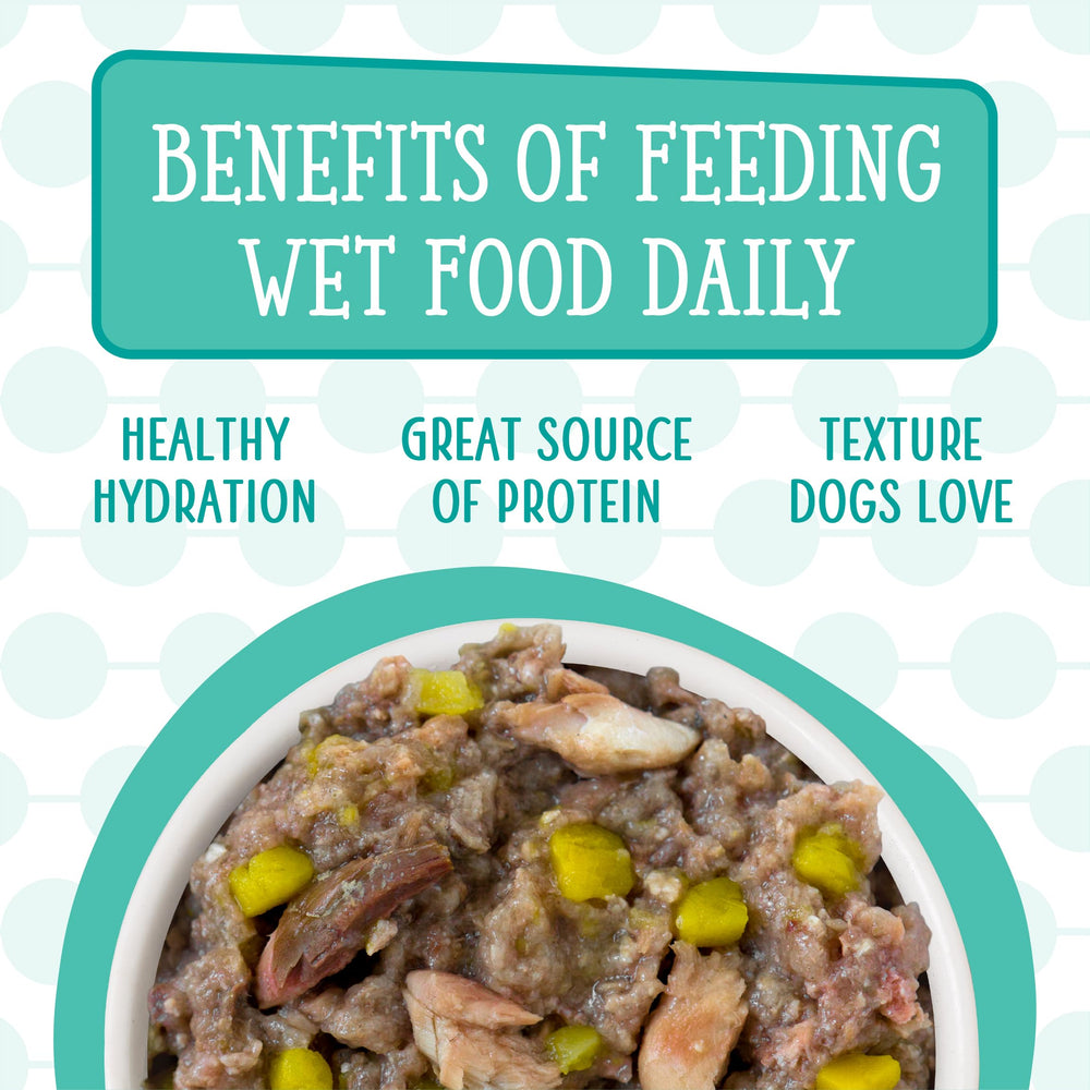 Weruva Dogs in the Kitchen pumpkin au jus serving with lamb enhances moisture.