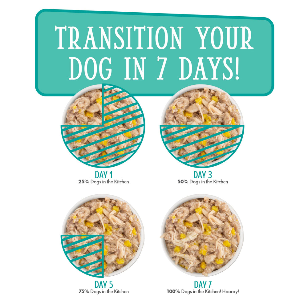 Serving suggestion image showing feeding with hydration-friendly wet food.