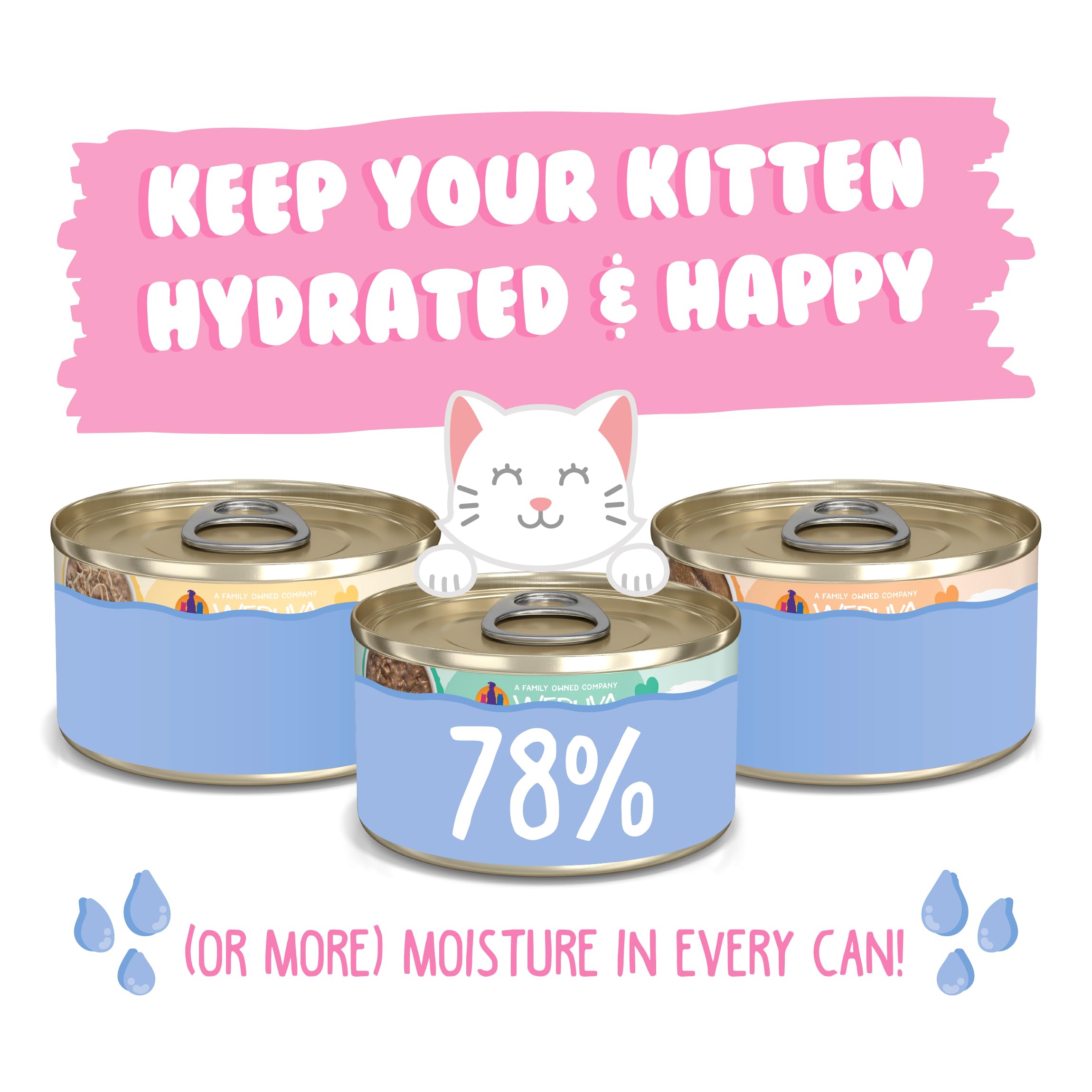 Weruva easy-pantry-pack 24 cans demonstrated for organized kitten feeding.