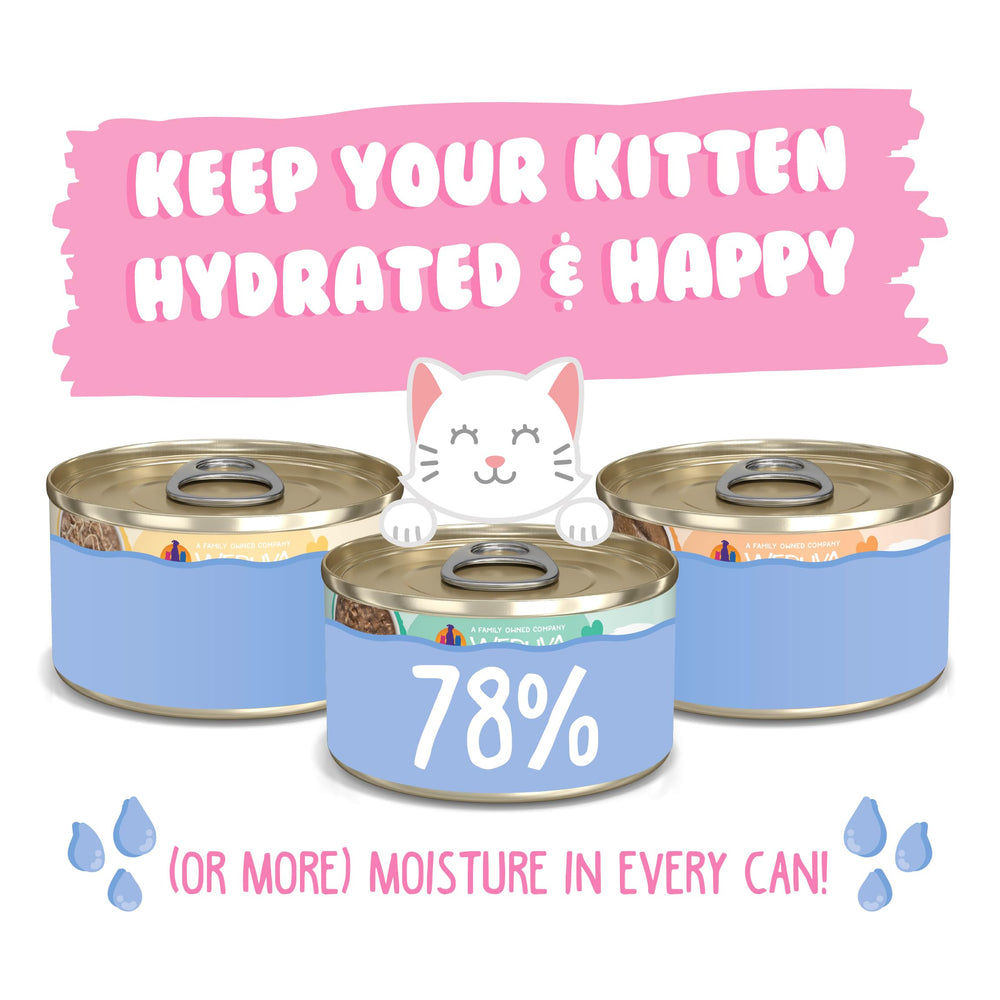 Weruva easy-pantry-pack 24 cans demonstrated for organized kitten feeding.