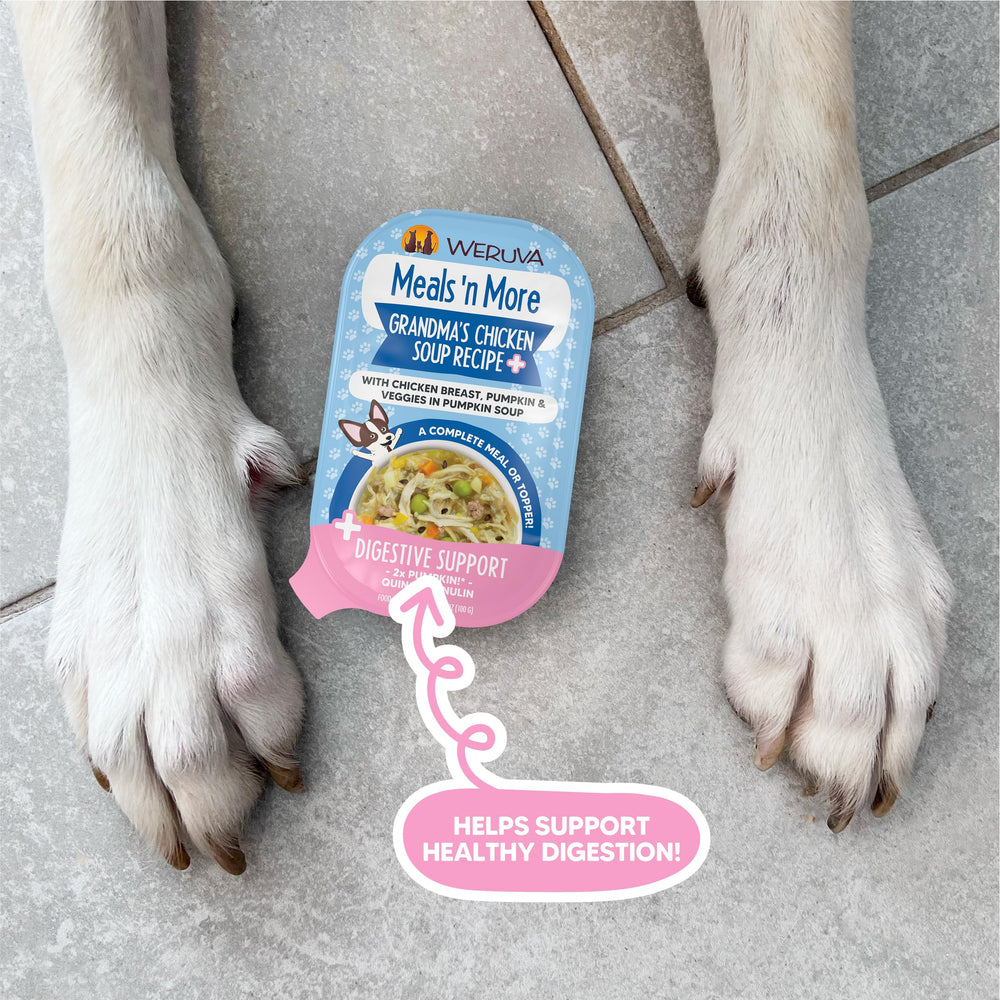 Serving ideas for dog meals with grandma's chicken soup plus digestive support.