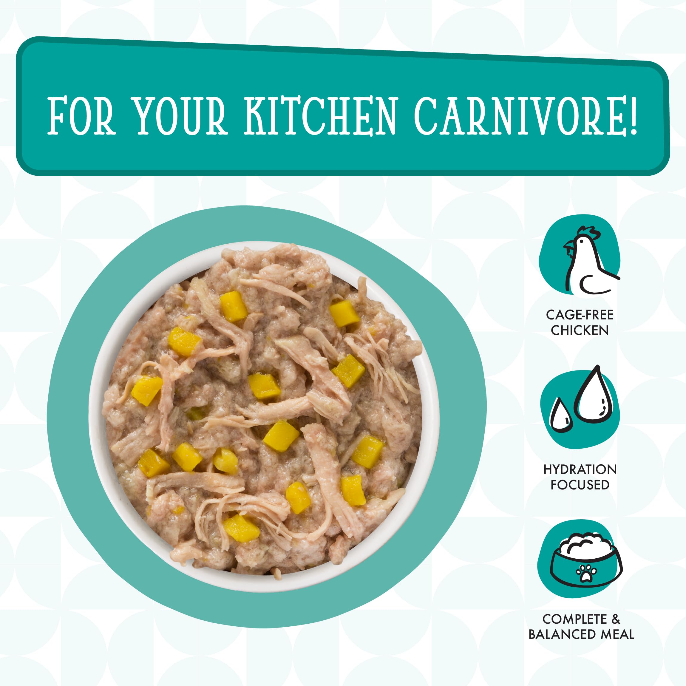 Weruva Funk in the Trunk pouch served on plate for easy feeding