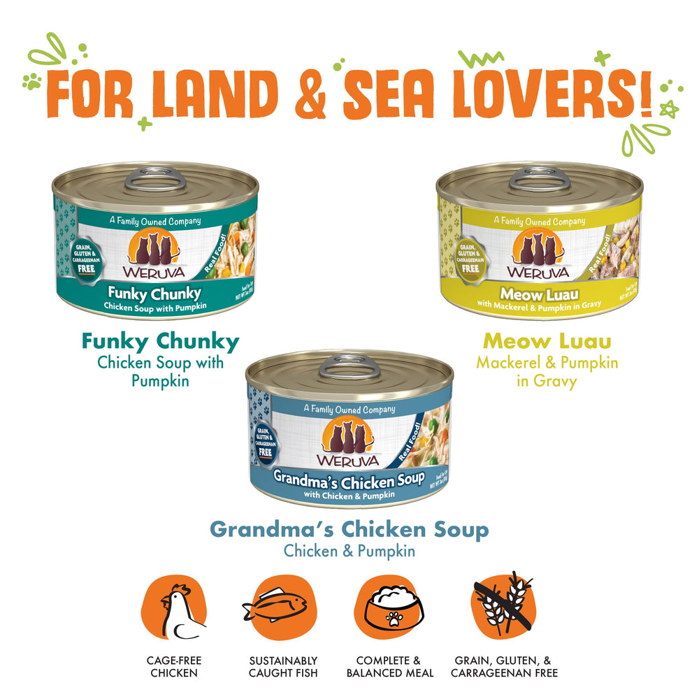 Weruva Grandma's Chicken Soup 3oz can featuring pumpkin and chicken for flavor variety.