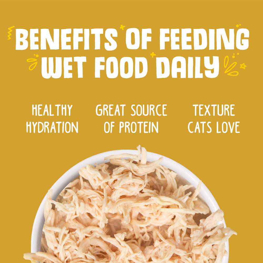 Savory gravy detail from Weruva cat food can enhancing palatability.
