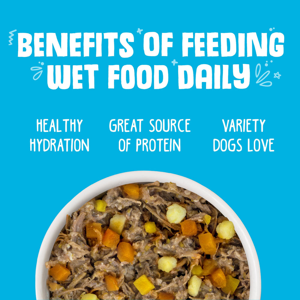 Weruva Hot Dayam 14oz can, hydrating wet food to complement dry meals