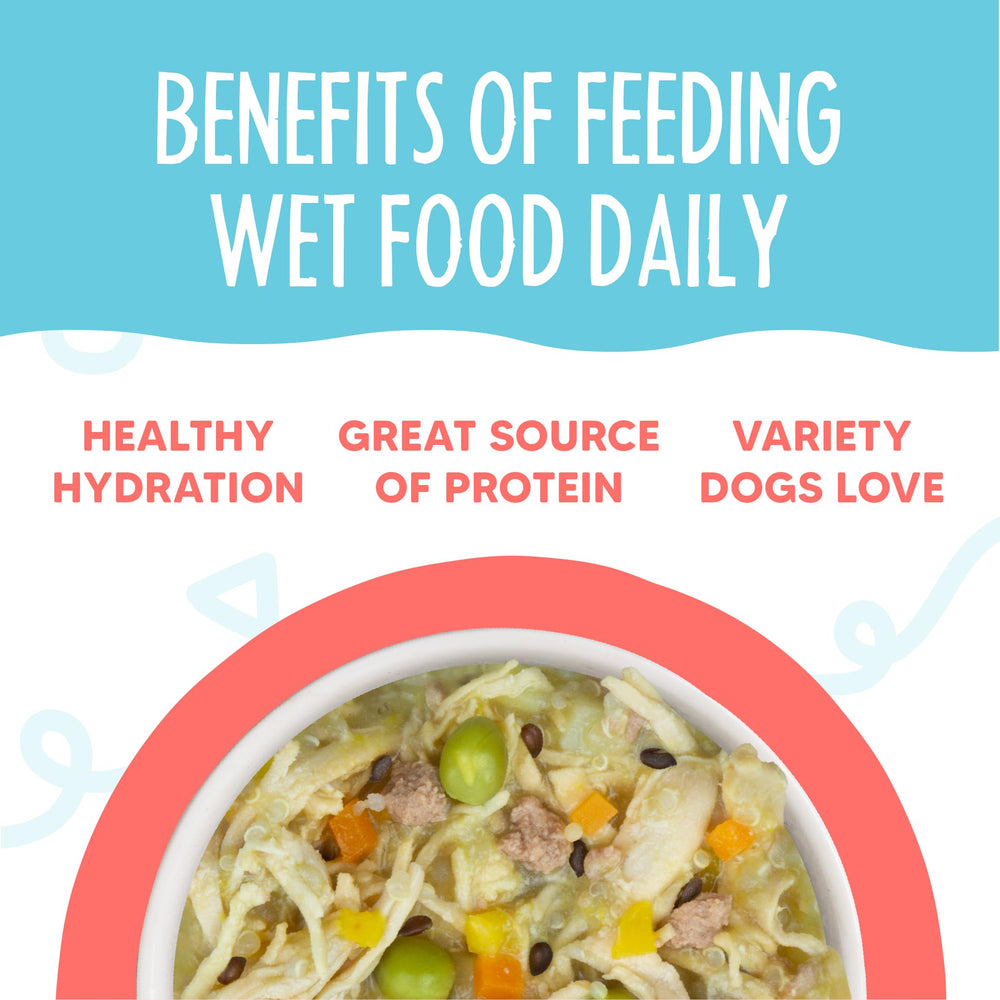 Hydration-focused wet dog food presented in a serving cup for convenience.