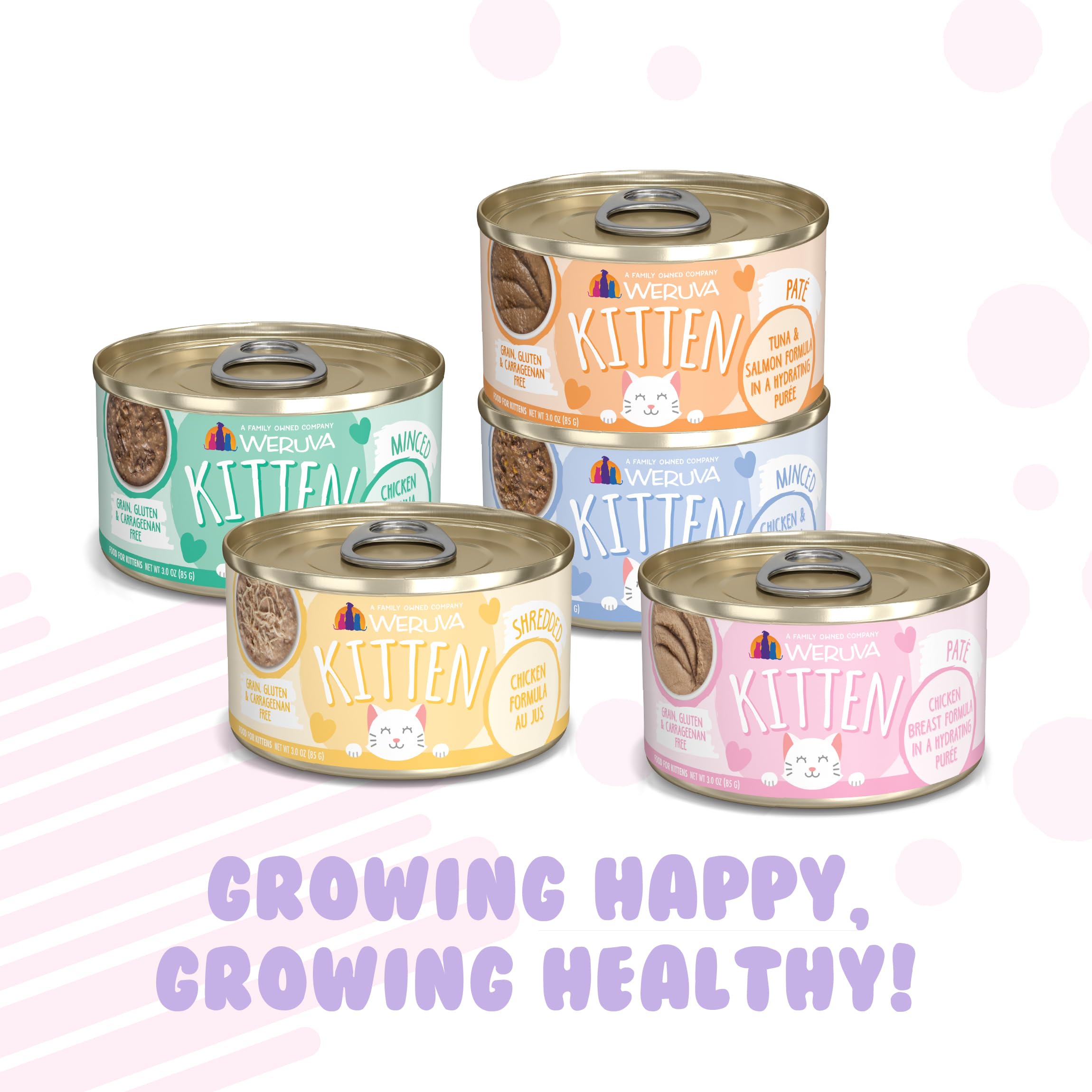 Weruva Kitten Can Jam! feeding scene demonstrates moisture-rich meals for kittens.