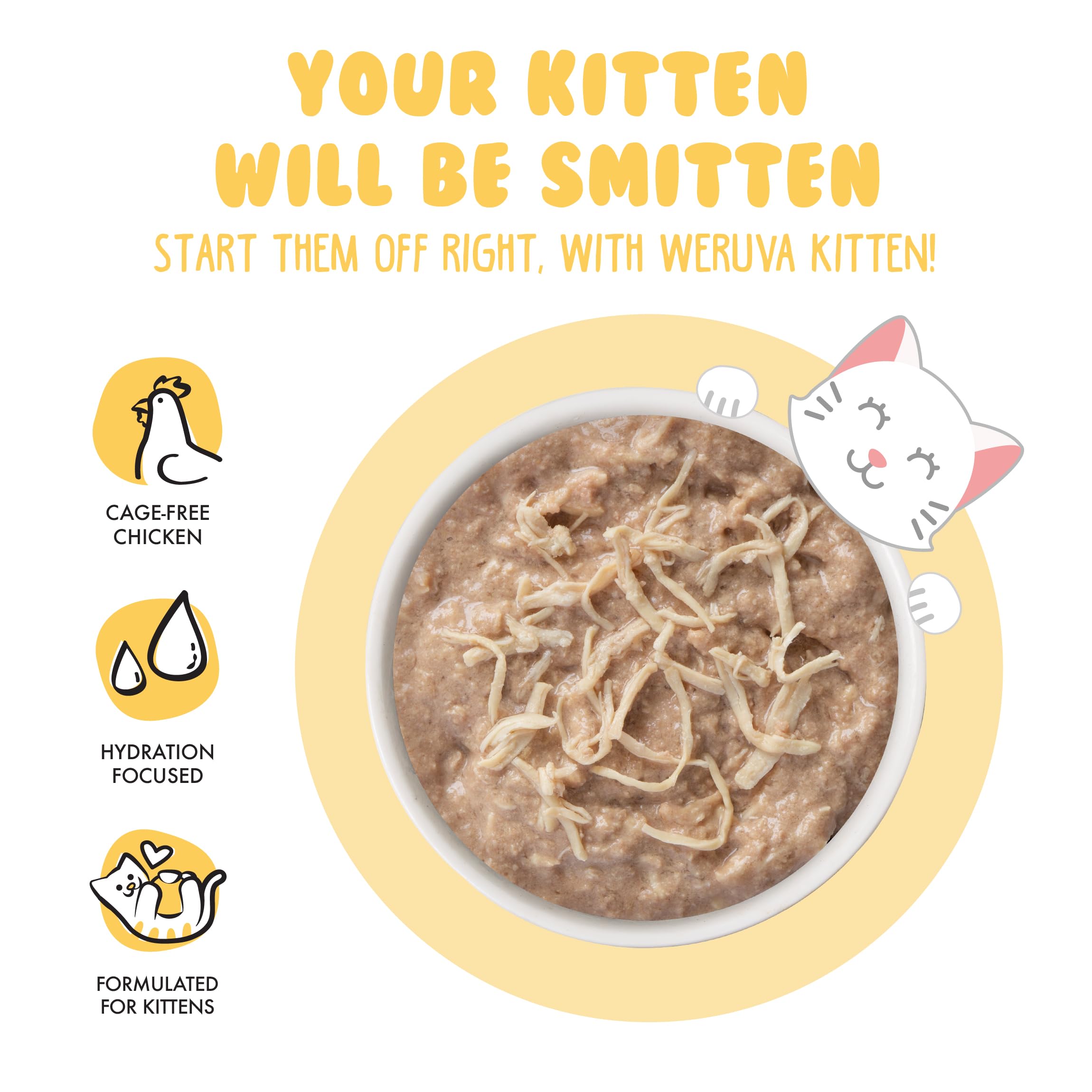 Kitten approaching bowl ready for a savory, moisture-rich feeding.