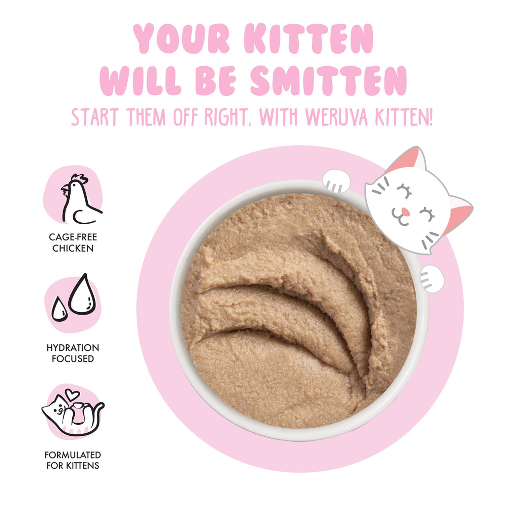 Creamy paté texture close-up loved by kittens.