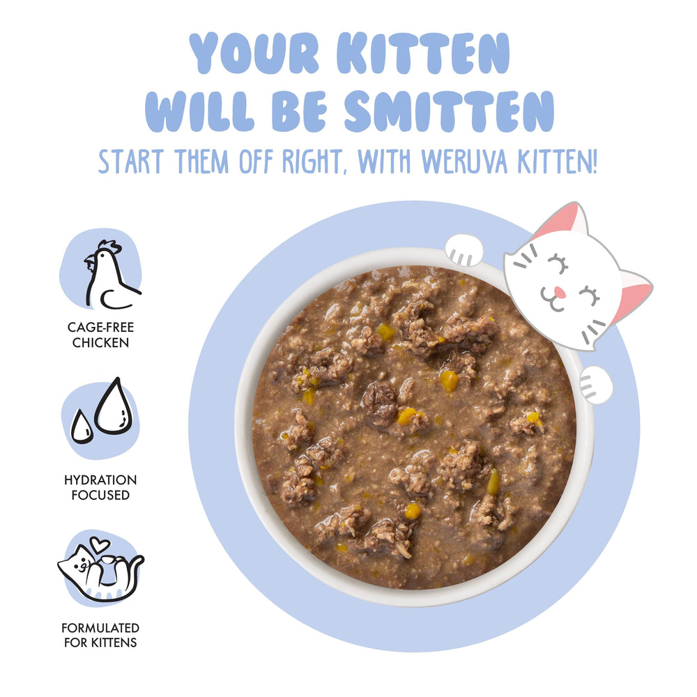 Ingredients focus shows chicken and pumpkin, grain-free with no artificial flavors.