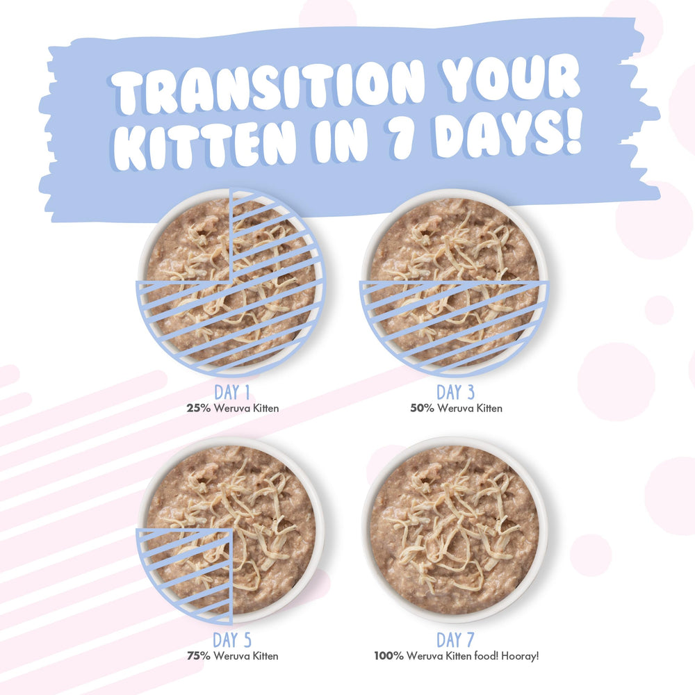 Happy kitten ready to eat Weruva Kitten formula.