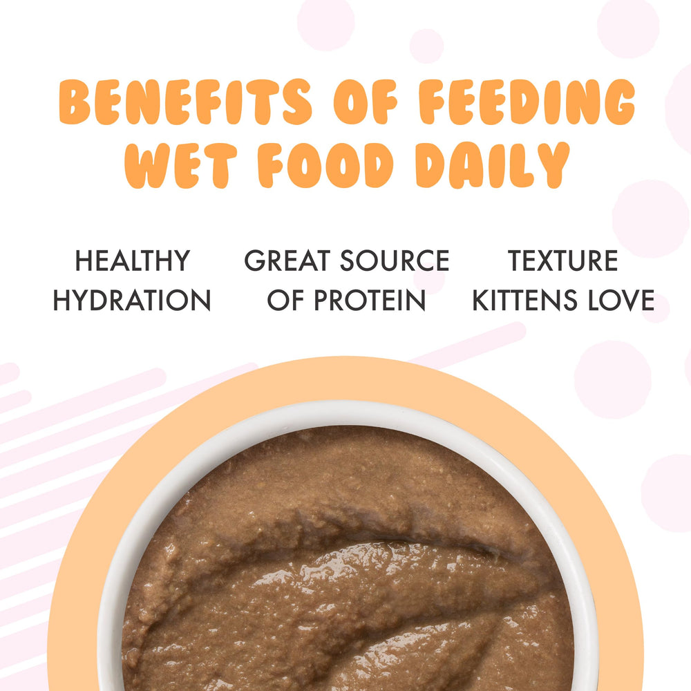 Weruva Kitten Tuna & Salmon Puree serving image ready-to-serve portion
